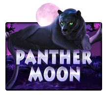 Panther Moon Joker Gaming